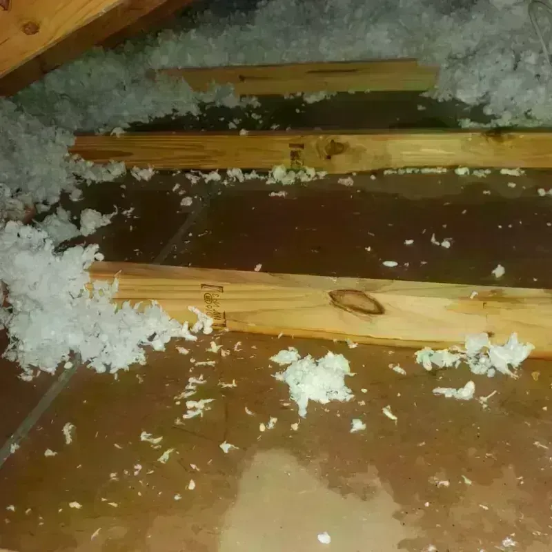 Attic Water Damage in Stanly County, NC