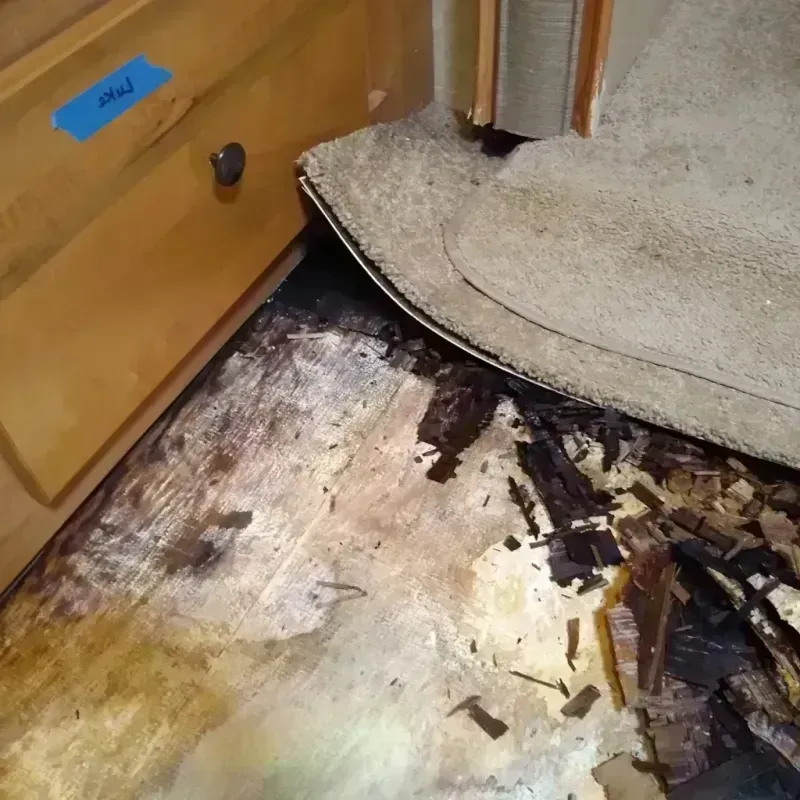 Best Wood Floor Water Damage Service in Stanly County, NC